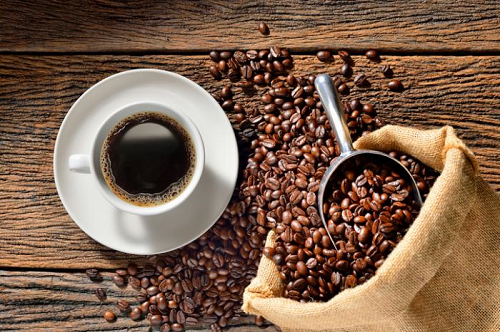 Some Differences Between Arabica and Robusta Coffee