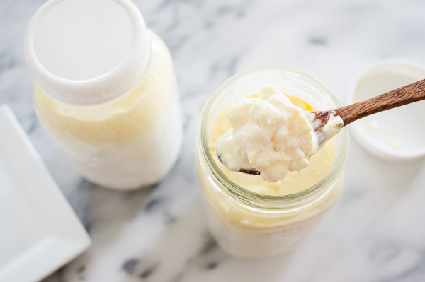 DIFFERENCE: Kefir Grains and Kefir Powdered Culture