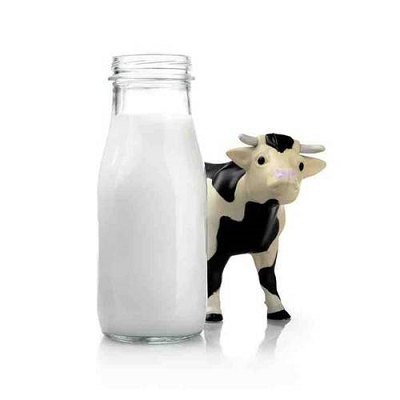 Difference Between UHT and Fresh Milk
