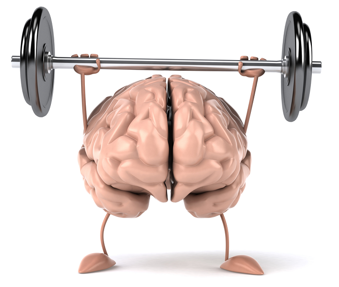 YOUR BRAIN LOVES THE GYM