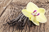 BENEFITS OF VANILLA ESSENTIAL OIL