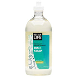 DISH SOAP, Lemon Mint, 22oz/ 651ml - Eco Friendly Cleaning Products